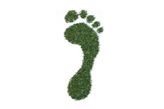 Grass in a foot print shape.