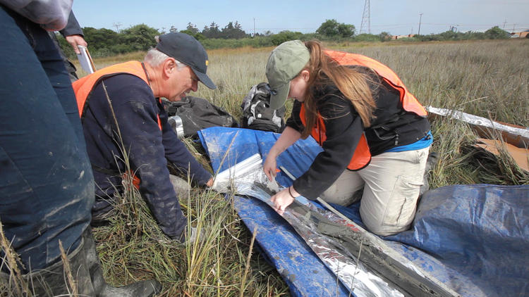 UCLA professor Glen MacDonald and his research team examine a sediment sample from a marsh in Arcata, Calif., during an unrelated study.