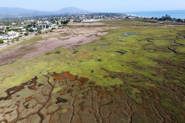 California’s coastal wetlands, such as the Carpinteria Salt Marsh Reserve in Carpinteria, are under stress from development, pollution and a rise in sea level.