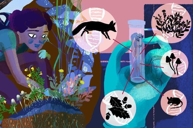 Graphic by Maya Edelman/CALeDNA