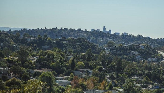 View of homes and treetops in Los Angeles.