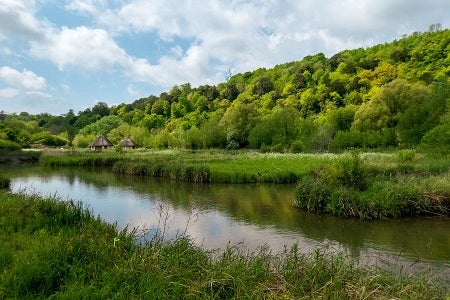 a stream running through an environment with green grasses, shrubs, and trees