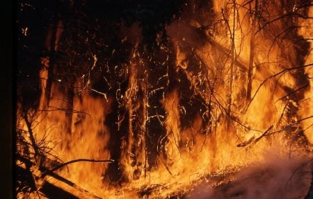 wildfire in California