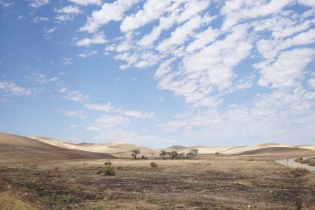 photo of open land 