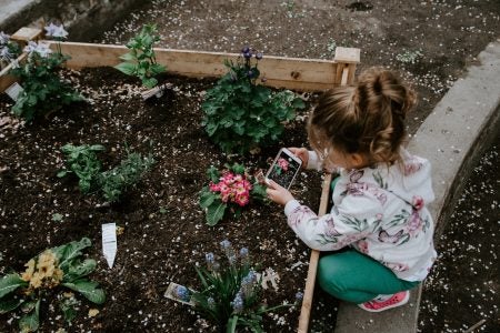 Young kid takes picture of flower