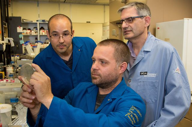 Paul Opgenorth, Tyler Korman and James Bowie (left to right) working in Bowie’s lab at UCLA.