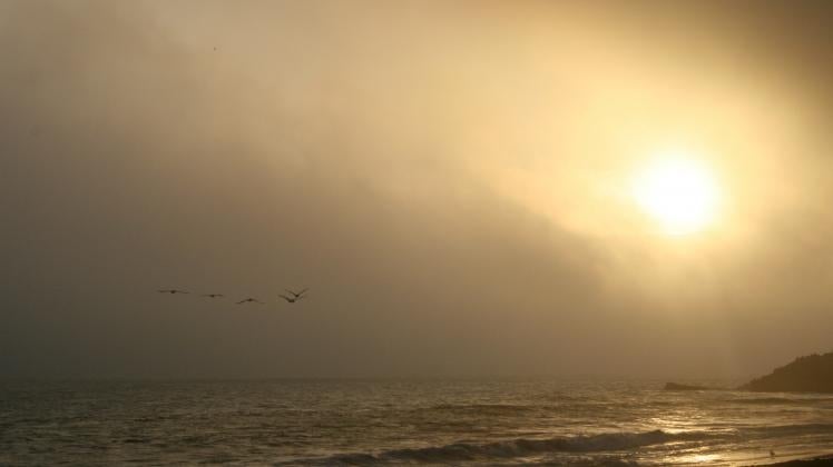 A view of the ocean, some birds and the sun are in the sky.