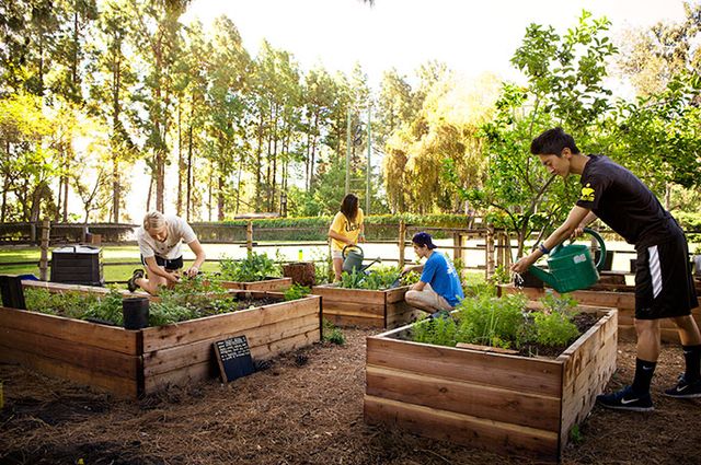 6.30.15_UCLAsSustainableLivingCommunityAmongTop