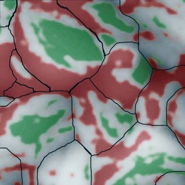 Advanced imaging technology reveals a bumpy surface of tiny, faceted grains on perovskite solar cells.