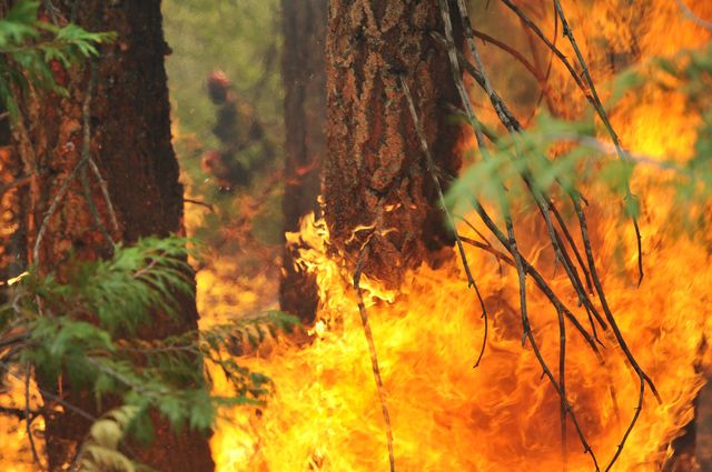 9.8.15 southerncaliforniawildfires