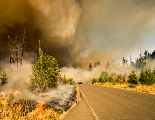 smoke fills the sky due to wildfires in California