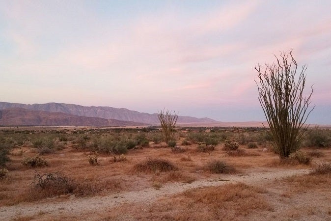 Photo of Anza Borrego State Park