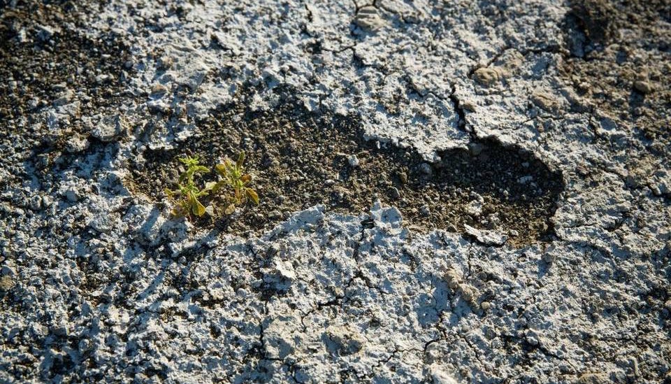 A footprint in the dry, mineral-crusted, banks of the depleted San Luis Reservoir in California, June 12, 2015.