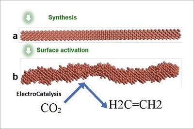 ElectroCatalysis system illustration