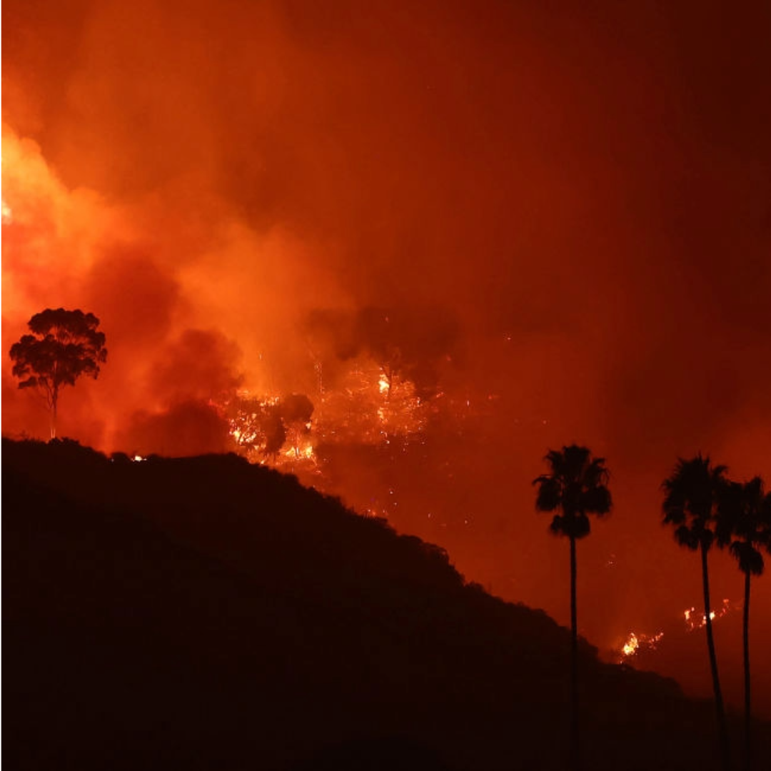 A fire burning in the mountains with silhouettes of palm trees in the foreground.