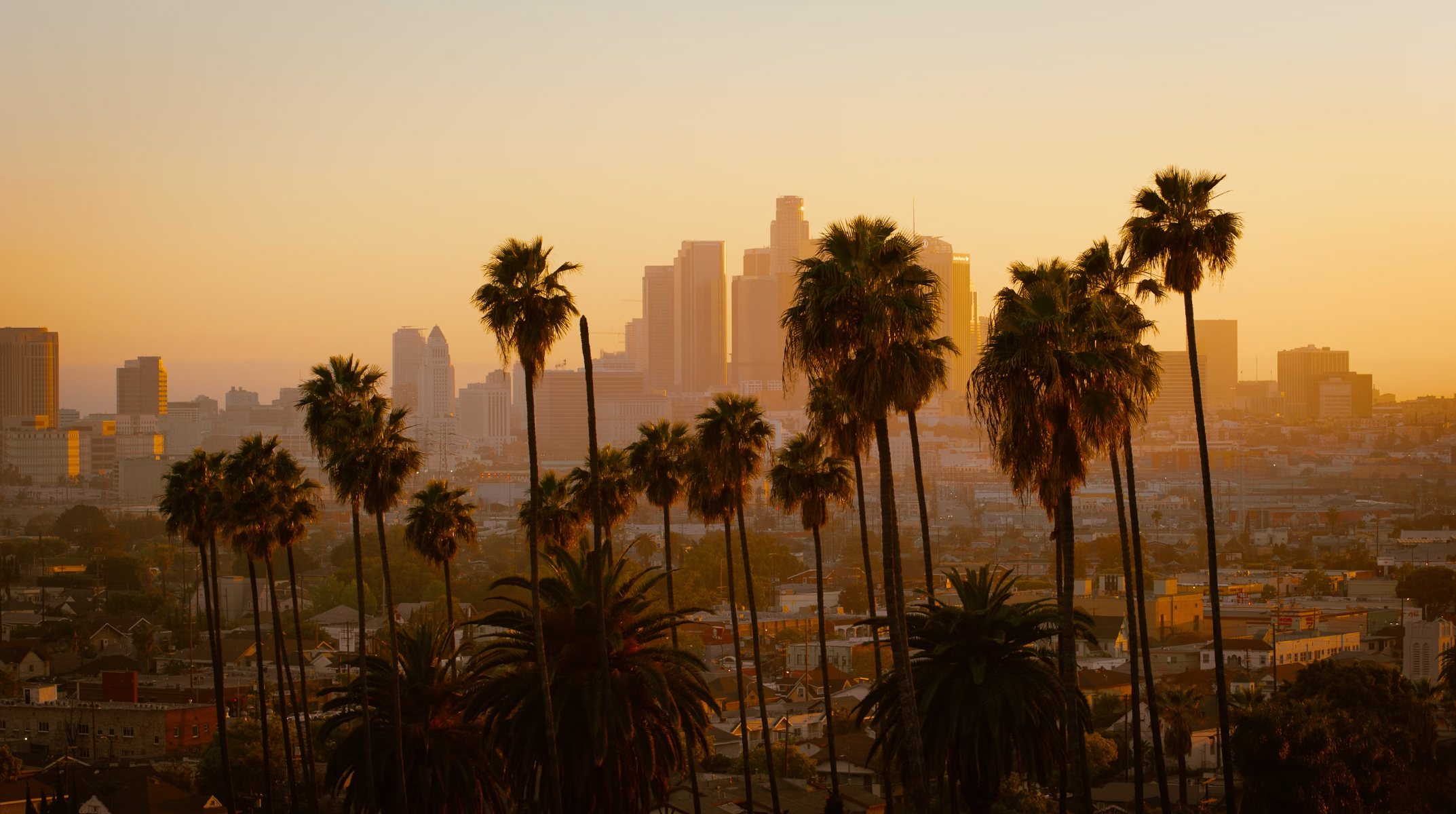 LA Skyline Image