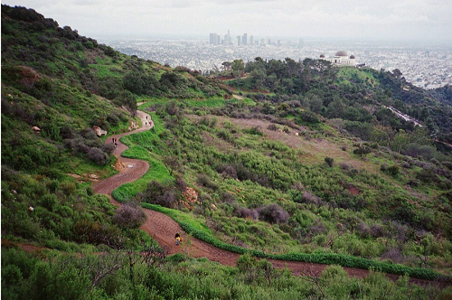  A photo of a trail through a green hill in Los angeles.