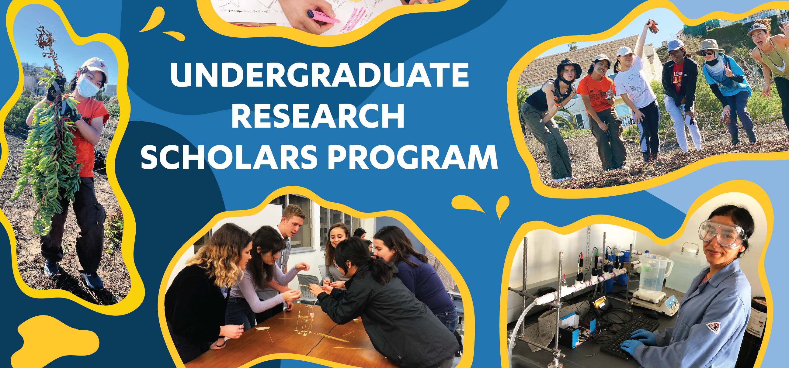 Undergraduate Research Scholars Program (URSP)