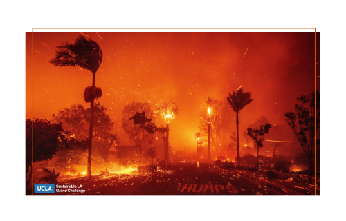 A photo of a street with palms and fire.
