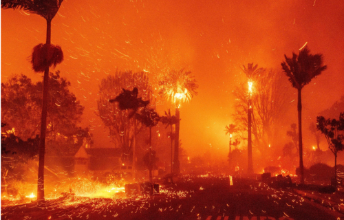 An urban street lined with palm trees on fire