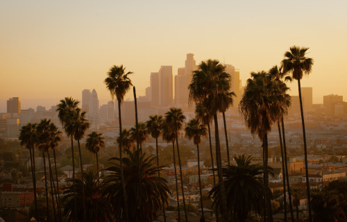 LA Skyline Image