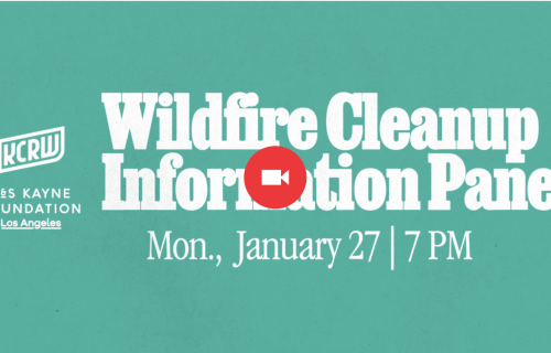 A title card for the panel Wildfire Cleanup Information