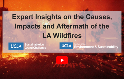 A title card for a panel titled Expert Insights on the Causes, Impacts, and Aftermath of the LA Wildfires