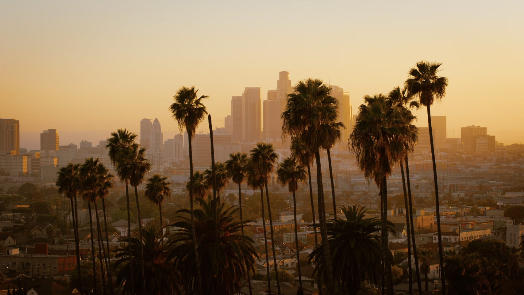 LA Skyline Image
