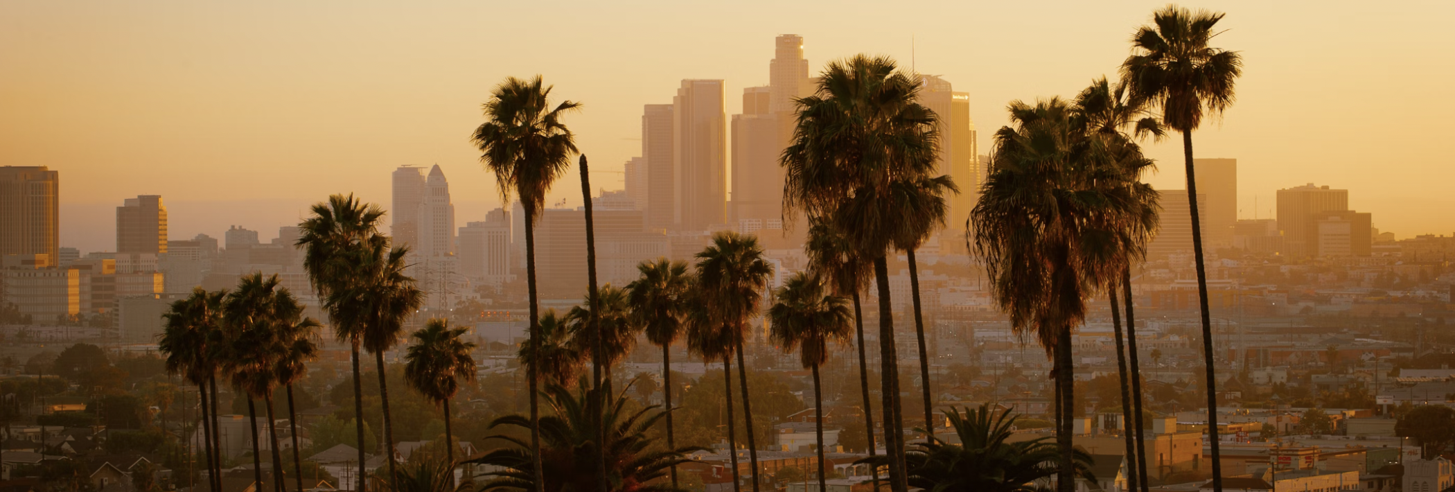 LA Skyline Image