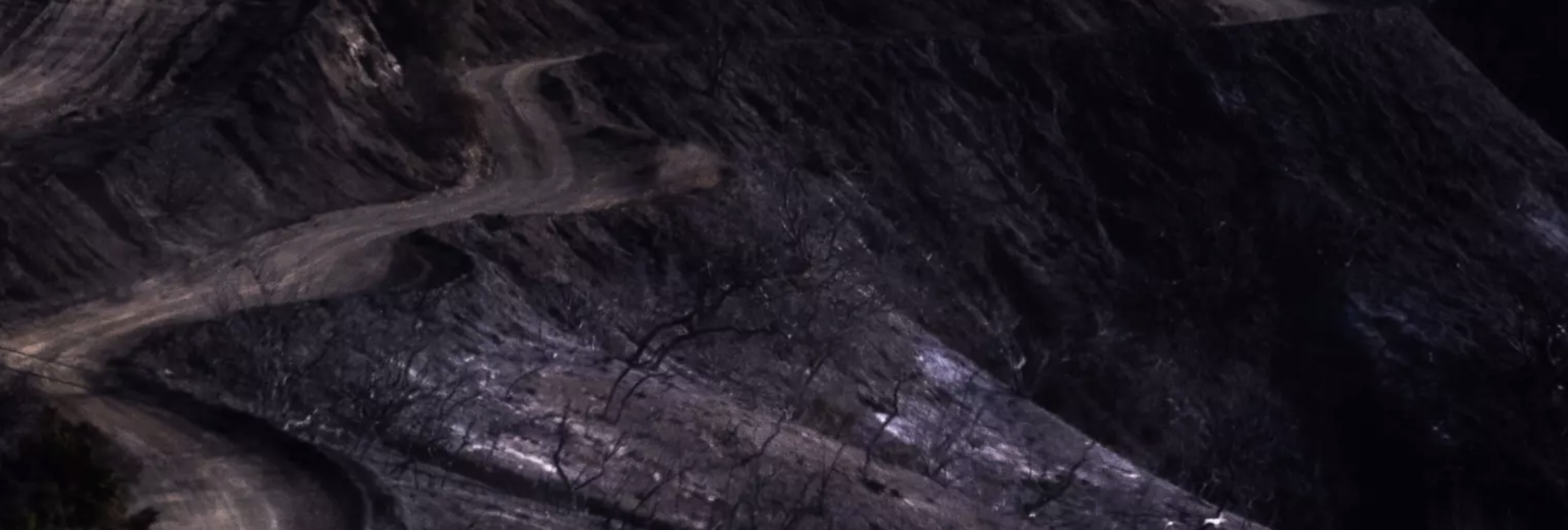 A hillside blackened by fire burns