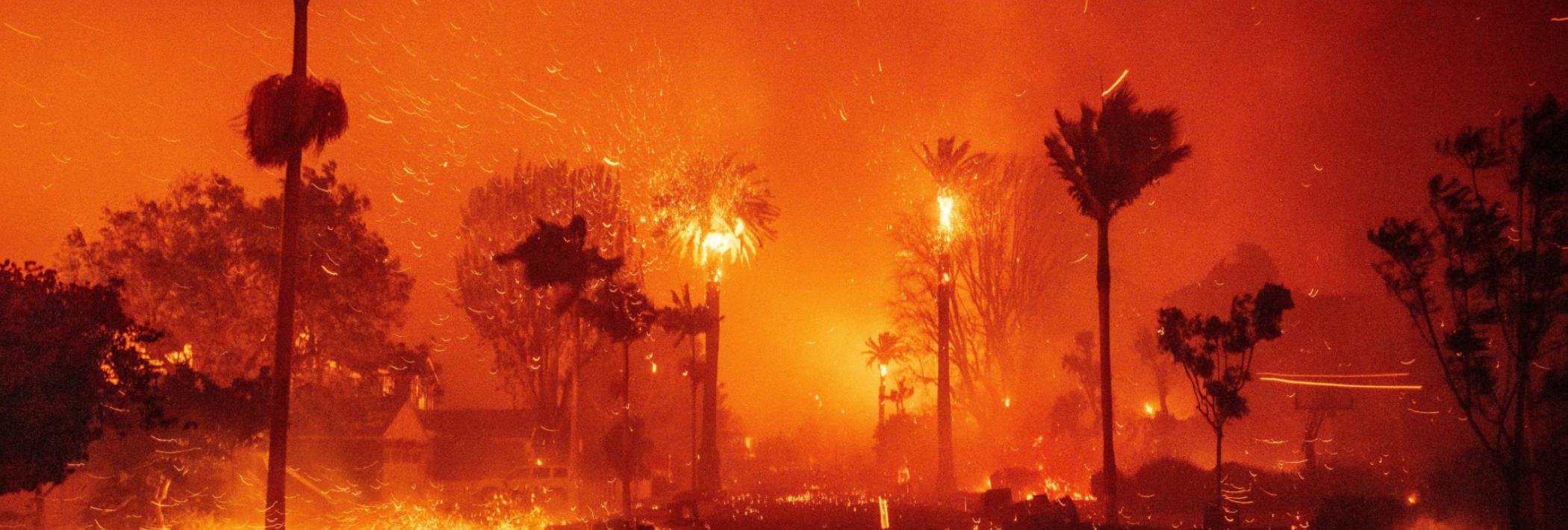 An urban street lined with palm trees on fire