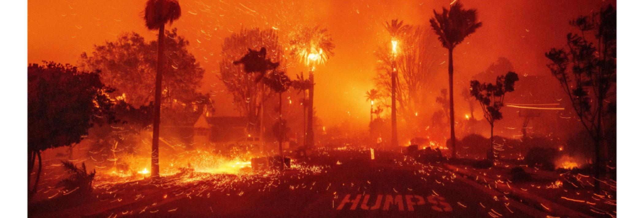 An urban street lined with palm trees on fire