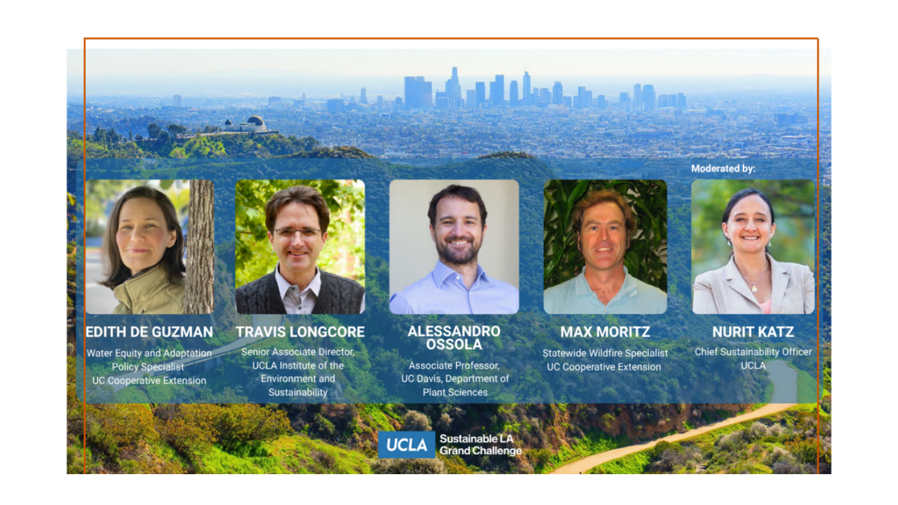 A panel of speakers on a background of green mountains