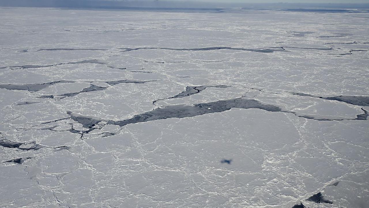 Sea ice in the Bellingshausen Sea, Antarctica