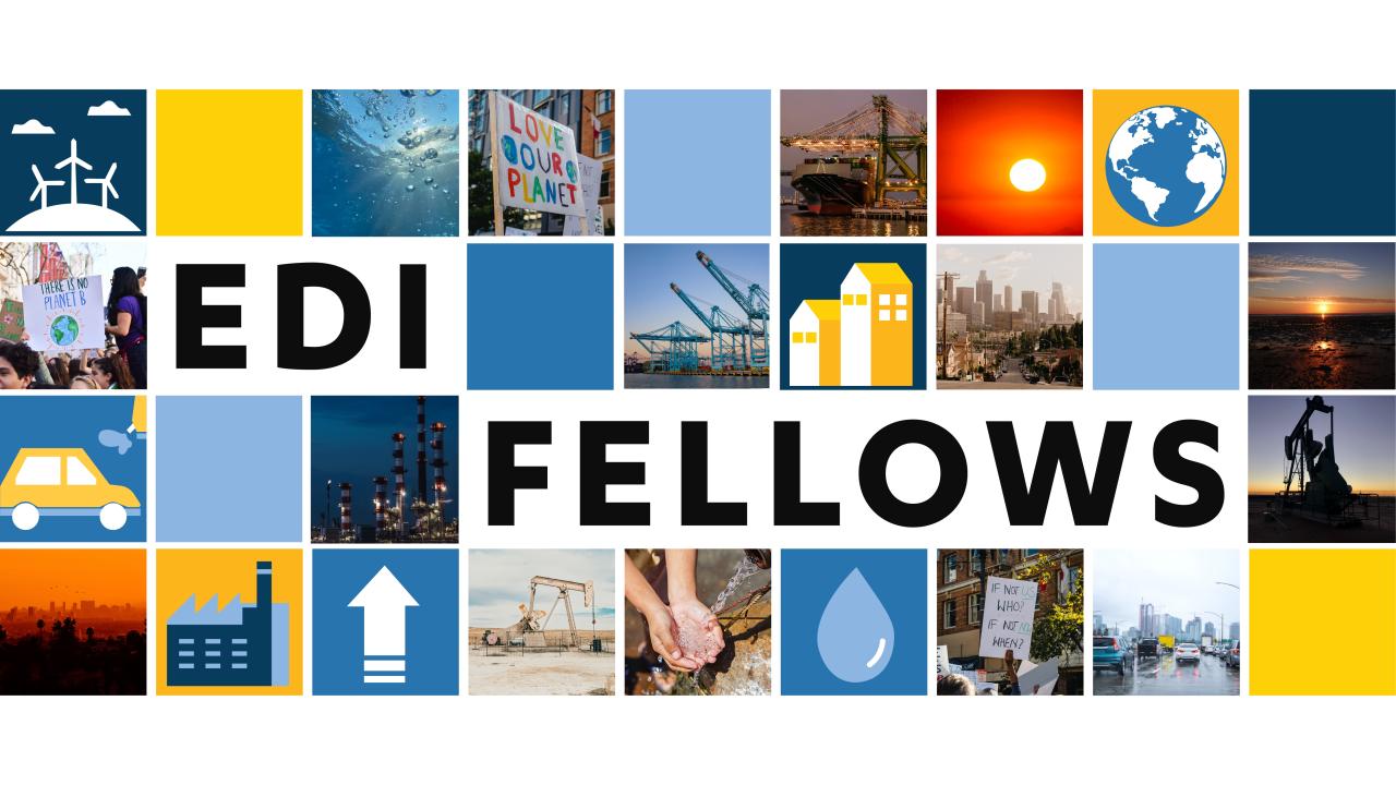 EDI Fellows Banner