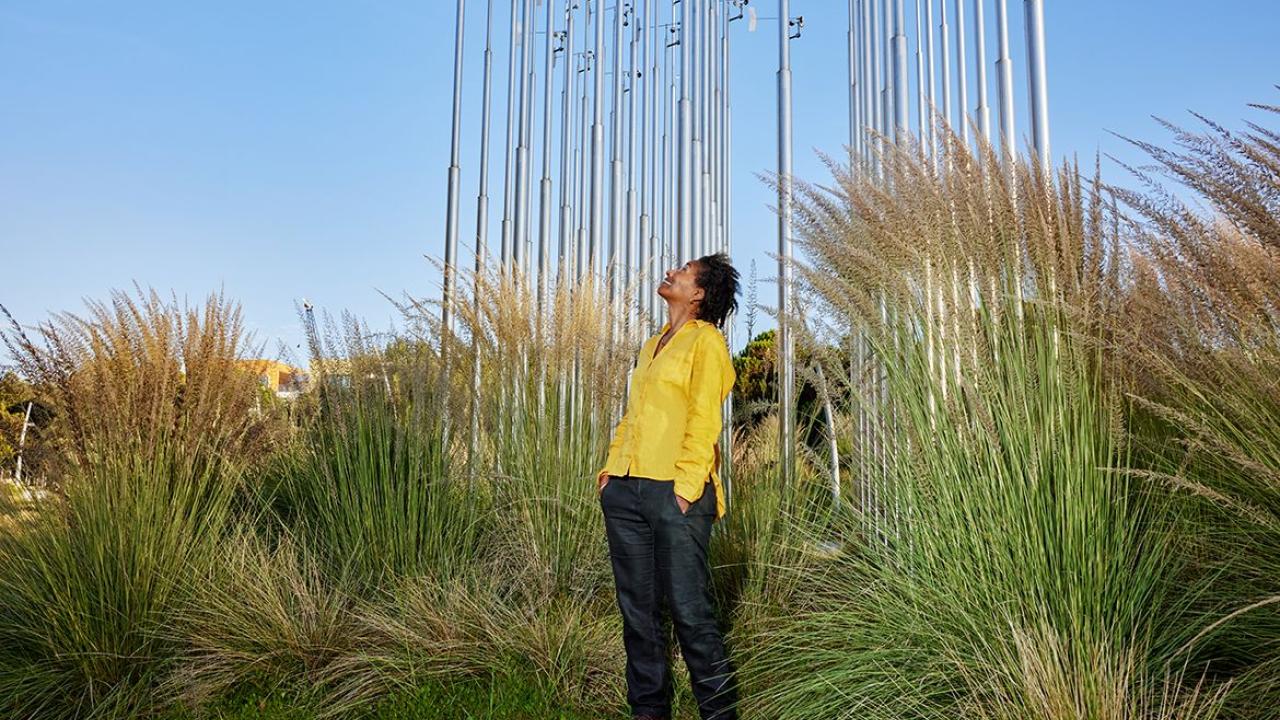 Marilyn Raphael in front of the Weather Field No. 1, a dynamic sculpture that shifts with the air at Tongva Park in Santa Monica. Like Raphael's work, the sculpture reminds us of our connection to both local and global climate conditions.