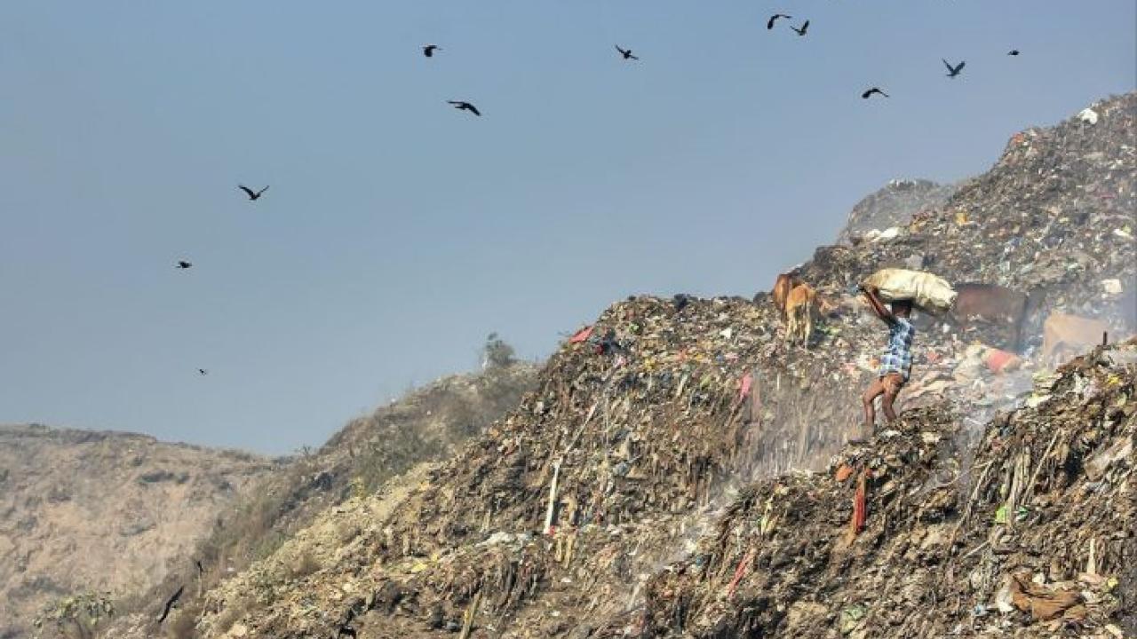 Person carrying trash and walking on landfill