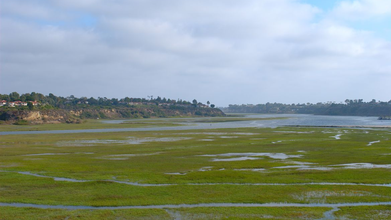 Coastal are with vegetation and sewage