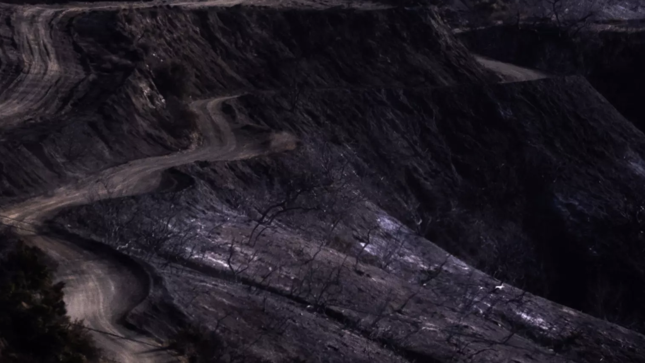 A hillside blackened by fire burns