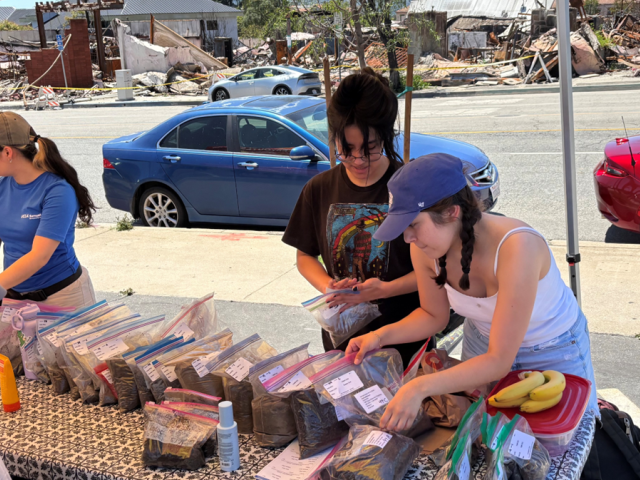A group of people putting soil samples in plastic bags.