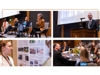 A collage of four images showing a panel of people sitting on stage, a man at a podium, a young woman standing in front of a poster of research, and a table discussion.