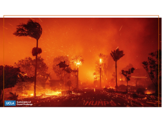 A photo of a street with palms and fire.