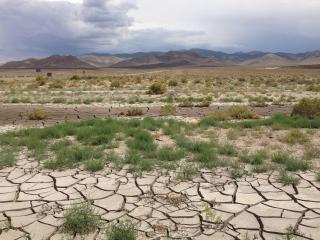 Parched land in Nevada