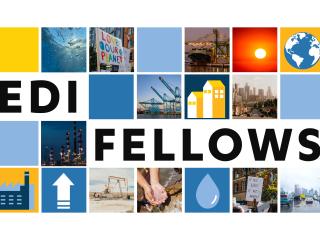 EDI Fellows Banner