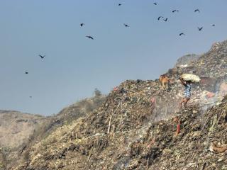 Person carrying trash and walking on landfill