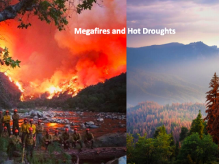 On left, wildfire; on right, drying trees