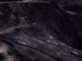 A hillside blackened by fire burns