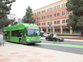 Culver City bus in Westwood Plaza